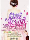 假婚蜜爱,总裁求复婚