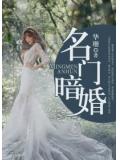 名门暗婚