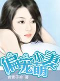 偏宠小萌妻