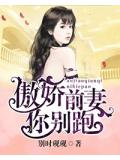 傲娇前妻你别跑