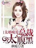 先婚晚爱，总裁太腹黑