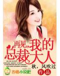 再见，我的总裁大人