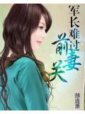 军长难过前妻关
