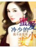 冷少的蜜爱小妻