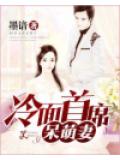 冷面首席呆萌妻