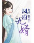 凤府&ldquo;九&rdquo;婿