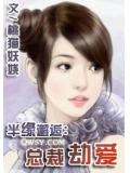半缘邂逅：总裁劫爱