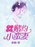 名门囚爱:赌约小蛮妻