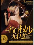 名门权少无良妻