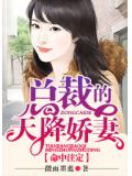 命中注定，总裁的天降娇妻