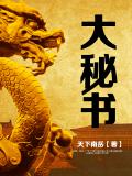 大秘书