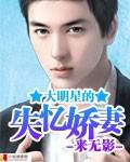 大明星的失忆娇妻