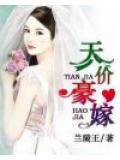 天价豪嫁
