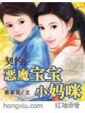 契约:恶魔宝宝小妈咪