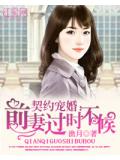 契约宠婚：前妻过时不候