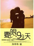 妻限九十九天