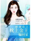 娇妻在上：枕上金主骗回家