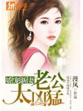 娇宠新妻：老公太凶猛