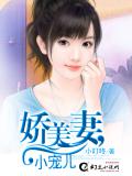 娇美妻，小宠儿