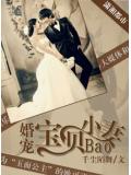 婚宠宝贝小妻