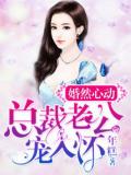 婚然心动:总裁老公宠入怀