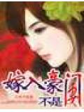 嫁入豪门不是妻