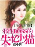 宠你有瘾：邪性BOSS的失忆小猫