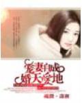 宠妻自成：婚天爱地