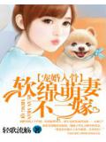 宠婚入骨:软绵萌妻不二嫁