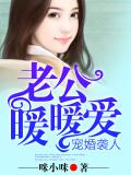 宠婚袭人，老公暖暖爱
