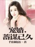 宠婚，蓄谋已久