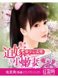 帝少心尖宠：迫嫁小嫩妻