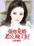 强势宠婚:老公,晚上好
