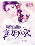 强势总裁的宠妻365式