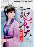 强娶：一妃冲天