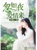 忽如一夜爱情来