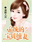 总统的宝贝纯妻