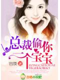 总裁,偷你一个宝宝!