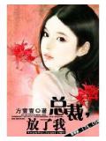 总裁,放了我
