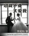 总裁不要太爱我