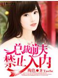 总裁前夫,禁止入内