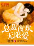 总裁夜欢无限爱