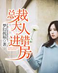总裁大人进错房