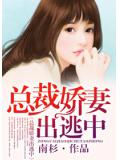 总裁娇妻出逃中