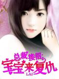 总裁接招：宝宝来复仇