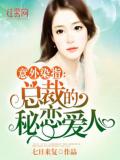 总裁的秘恋爱人