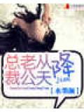 总裁老公从天降