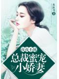 总裁蜜宠小娇妻