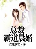 总裁霸道晨婚
