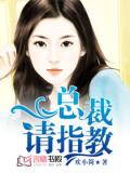总裁，请指教